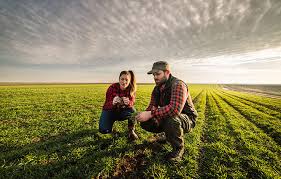 Agricultural Consulting