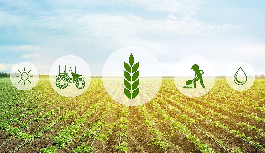 Smart Farming Solutions